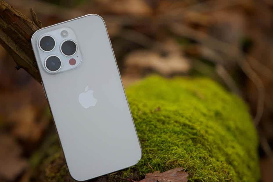 Free stock photo of 2025, 4k, 4k photo